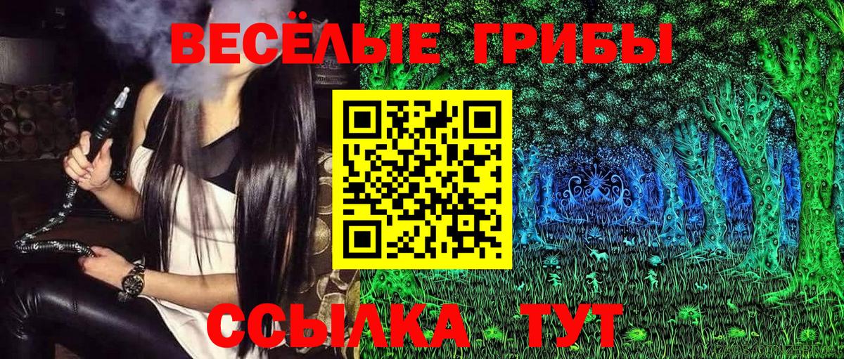 Псилоцибиновые грибы Cubensis Вязники
