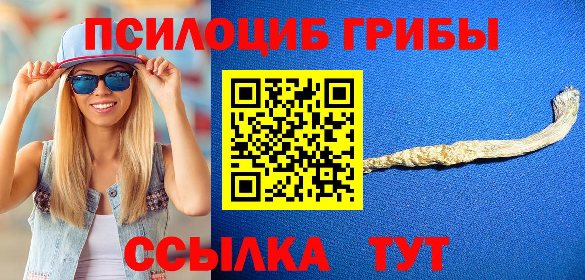 Псилоцибиновые грибы мицелий  Псилоцибиновые грибы мицелий  Вязники  хочу наркоту  Вход с VPN 
